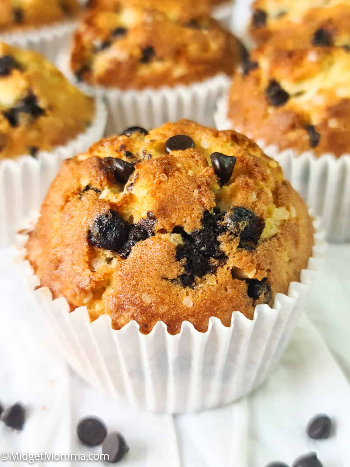 front close up photo easy chocolate chip muffins