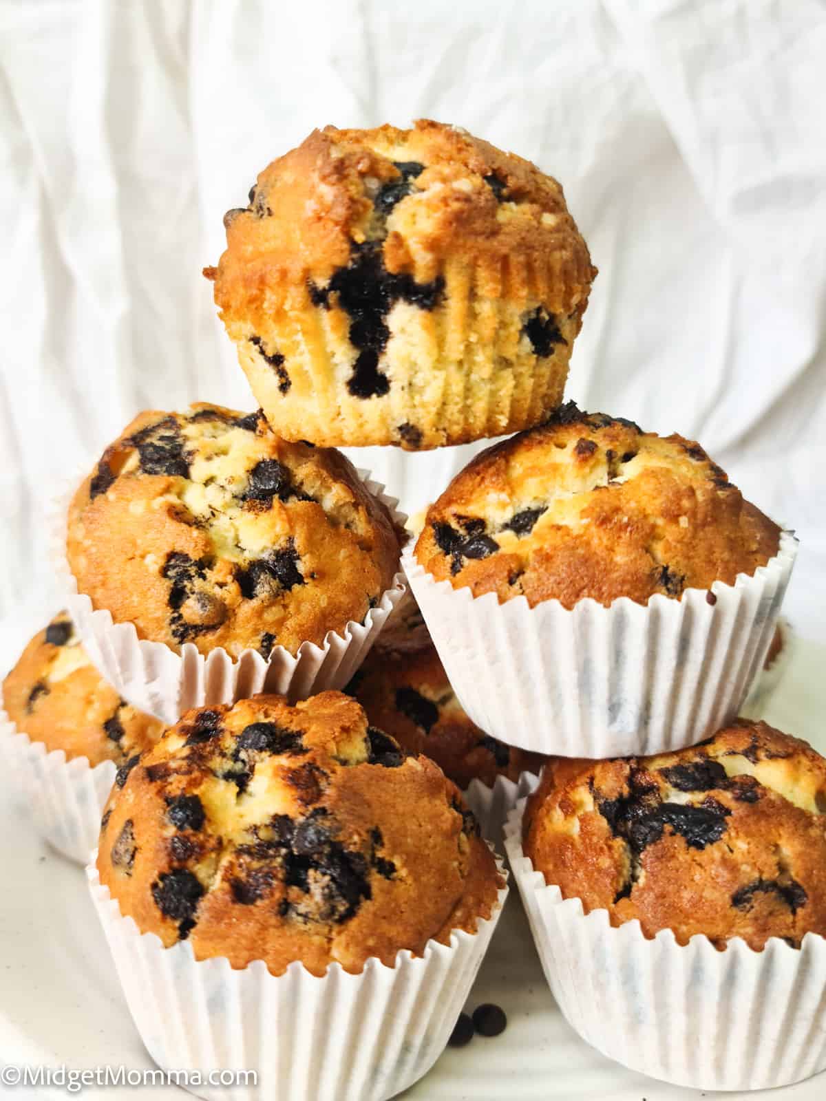 Easy Chocolate Chip Muffins Recipe