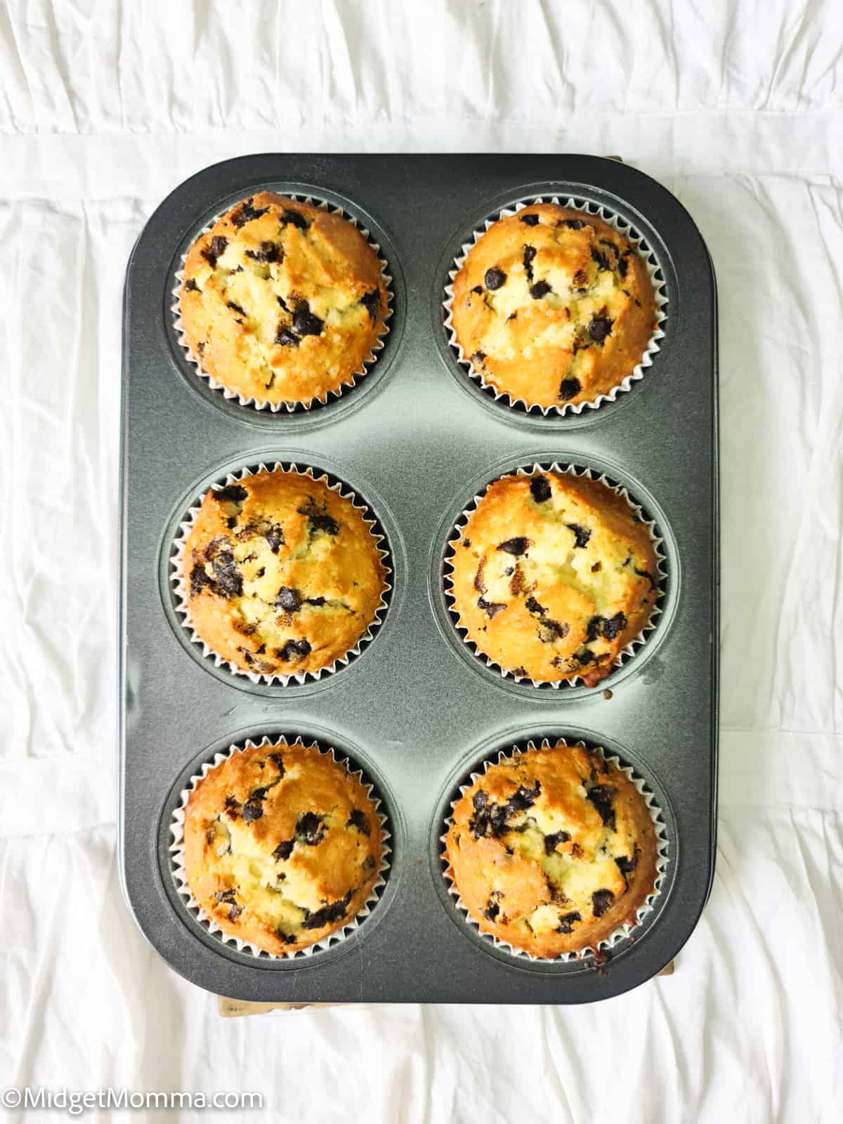 easy chocolate chip muffins in a muffin tray