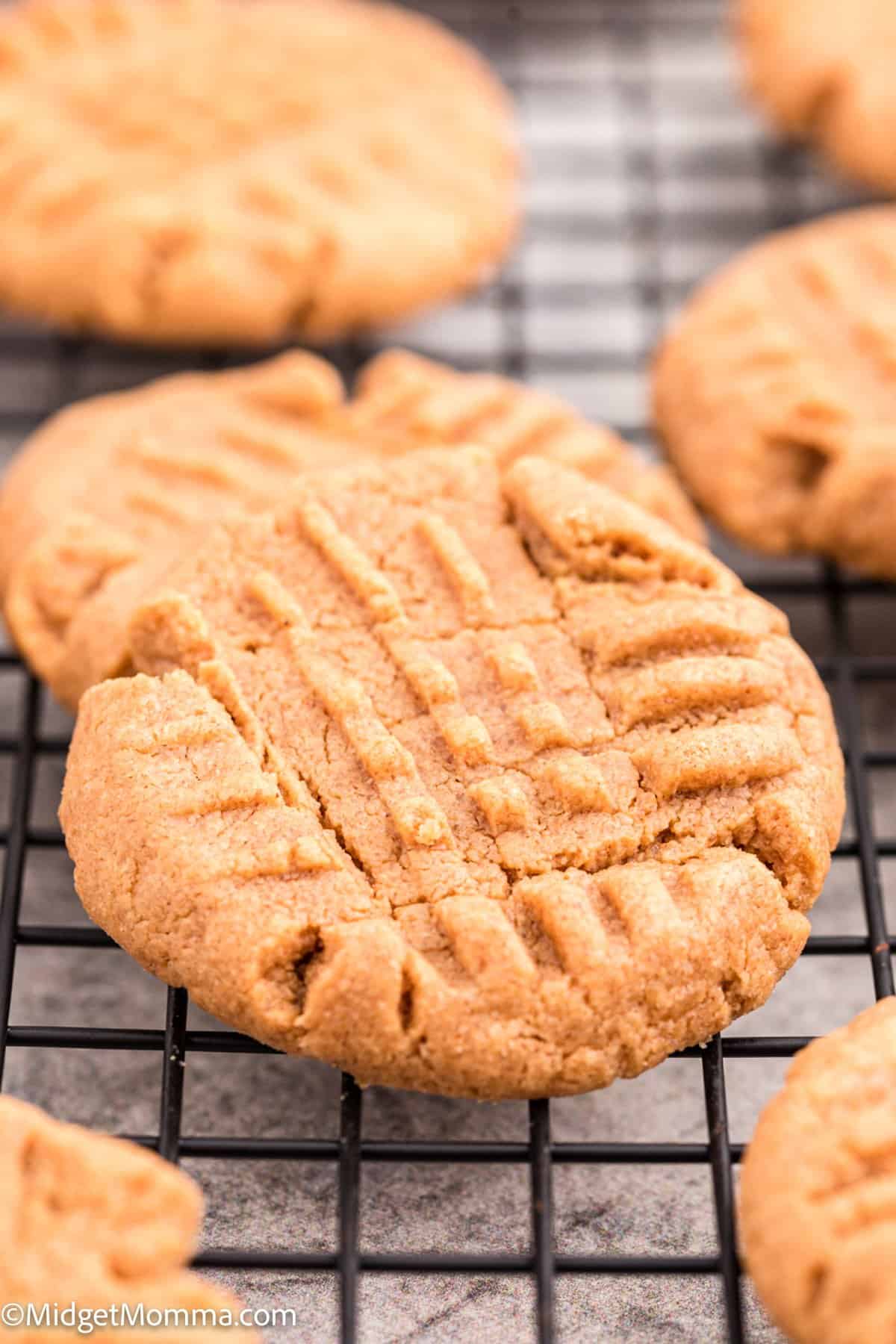 close up photo of peanut butter cookie