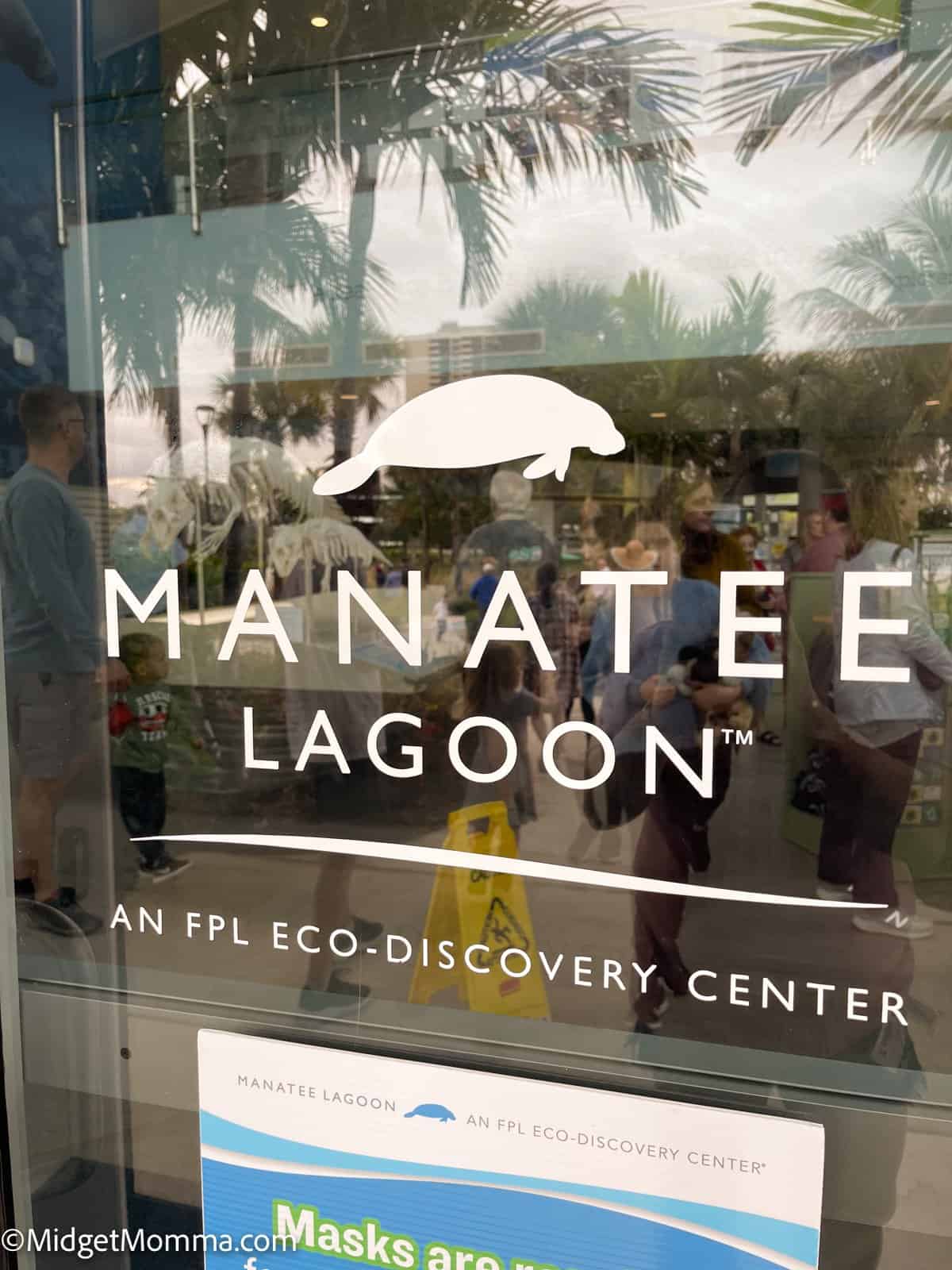 Things to do in Fort Lauderdale Florida with Kids - manatee Lagoon
