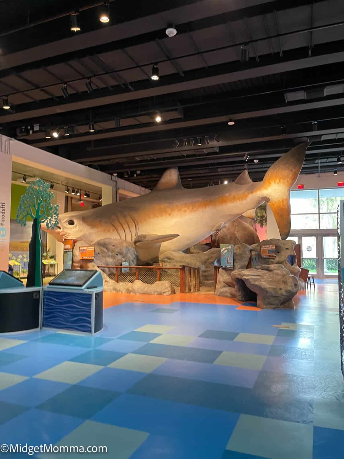 things to do with kids in fort lauderdale florida - museum of science and discovery in fort lauderdale florida
