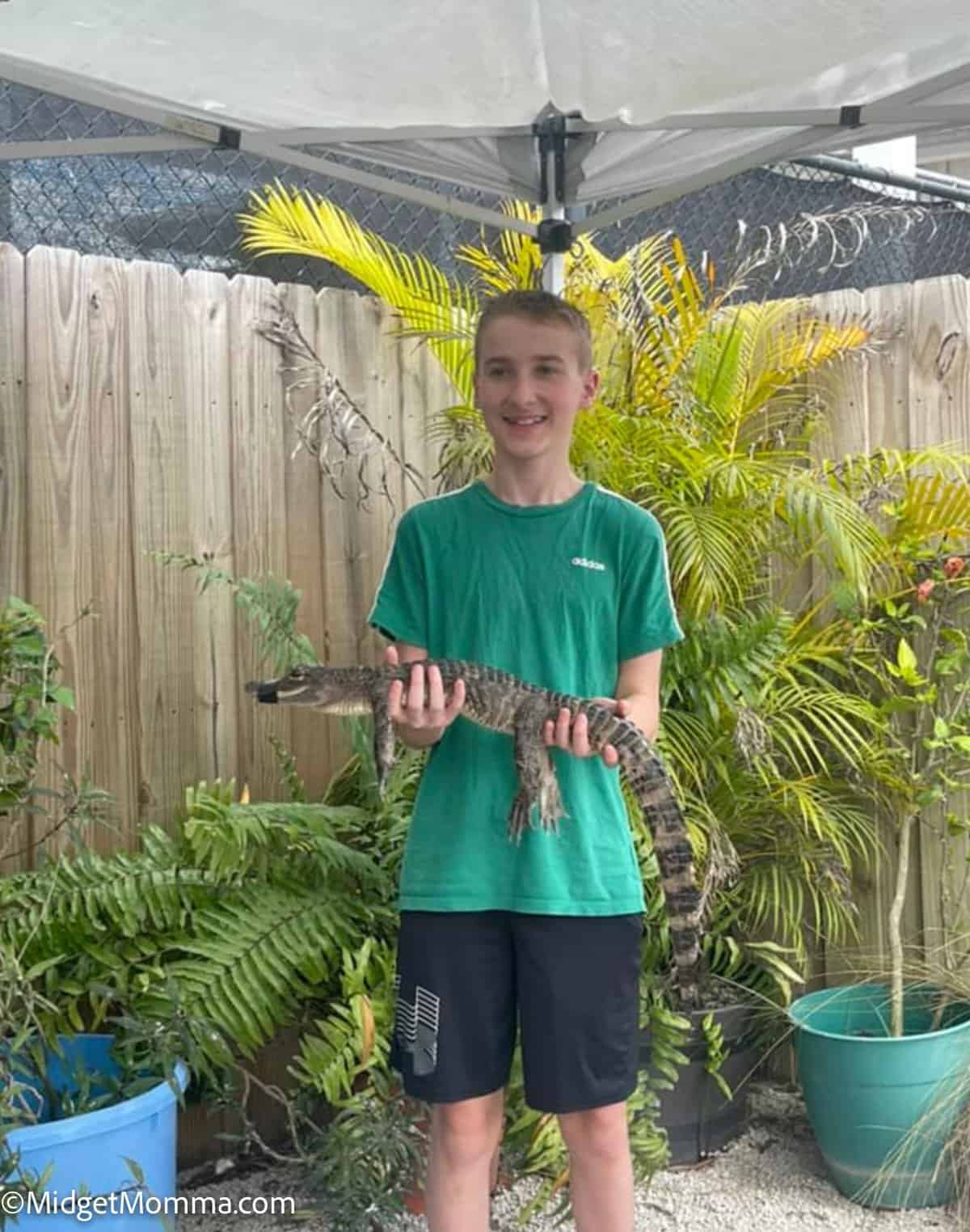 boy holding a baby gator