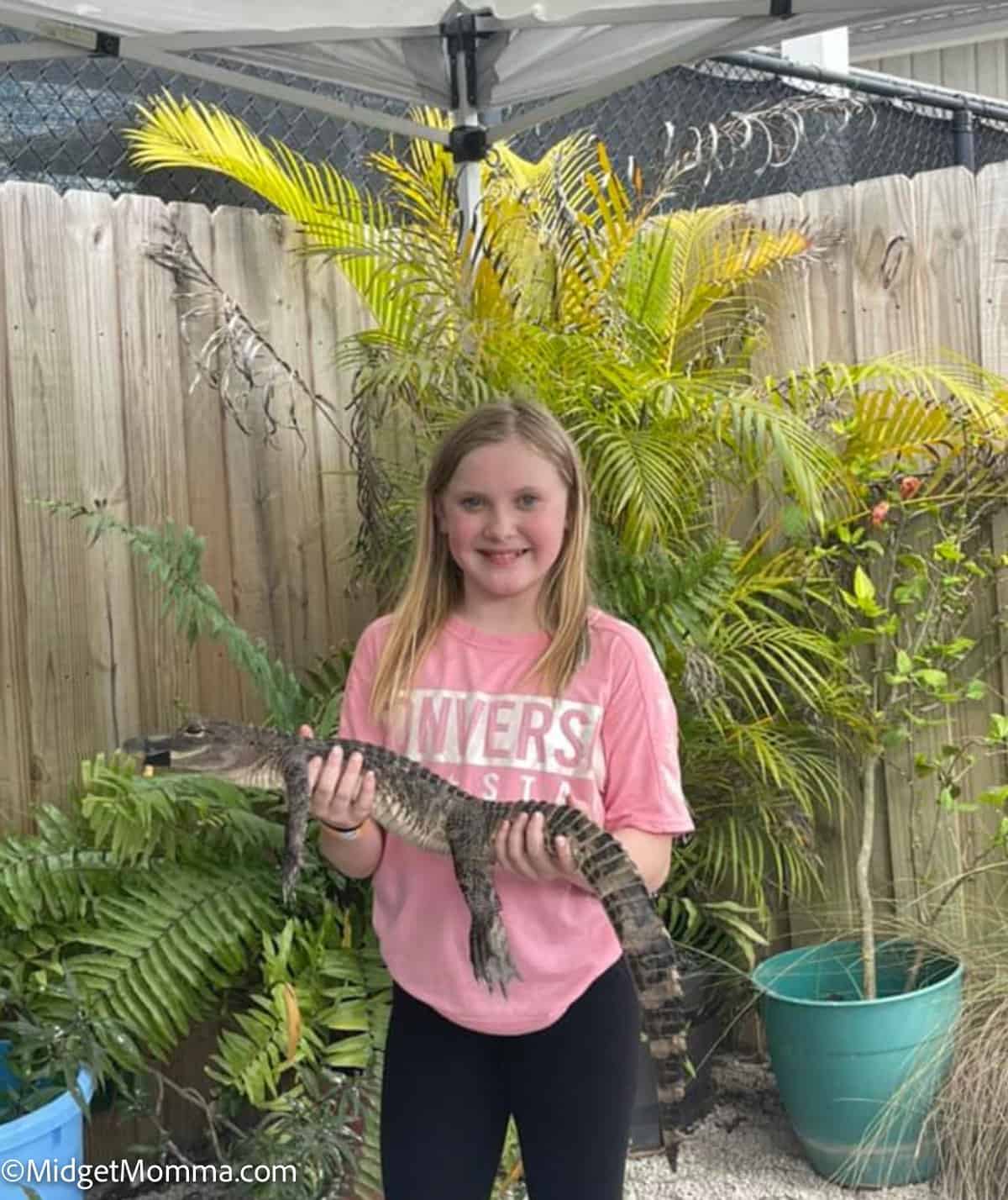 girl holding a baby gator