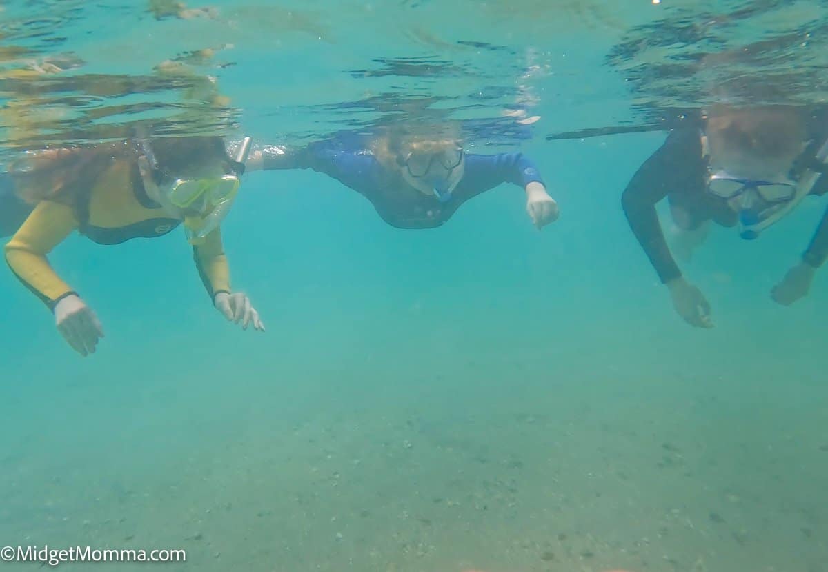 3 kids underwater snorkeling in the water at the phil foster park snorkeling trail