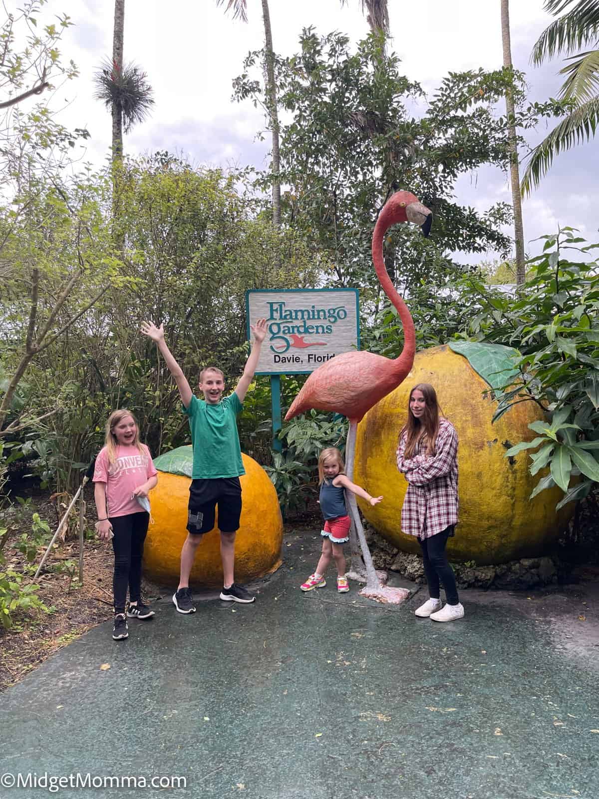 things to do with kids in fort lauderdale florida - Flamingo Gardens
