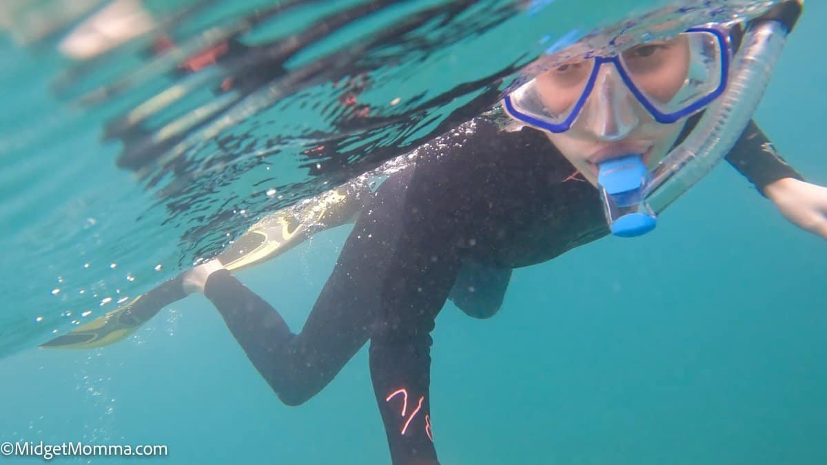 boy snorkeling in the water at the phil foster park snorkeling trail