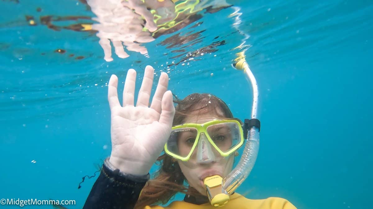 girl snorkeling in the water at the phil foster park snorkeling trail