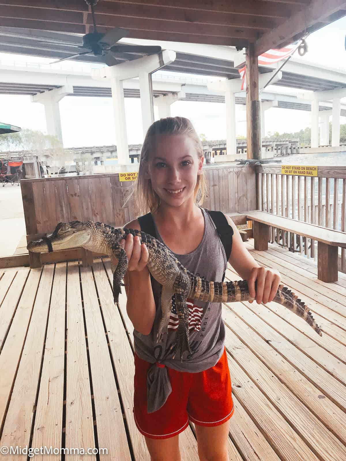 holding a gator in panama city beach florida