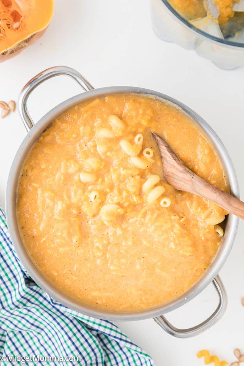 Butternut Squash Pasta Sauce Recipe • MidgetMomma