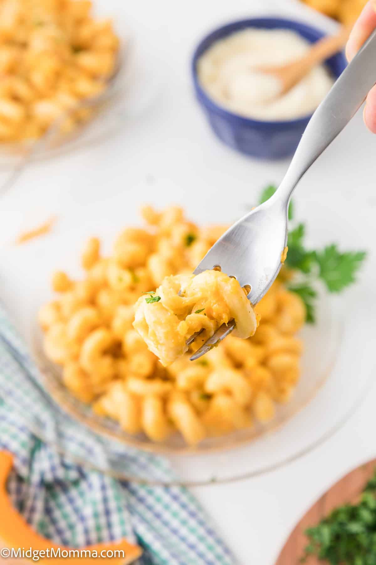 close up photo of Butternut Squash Pasta on a plate with a forkfull of pasta