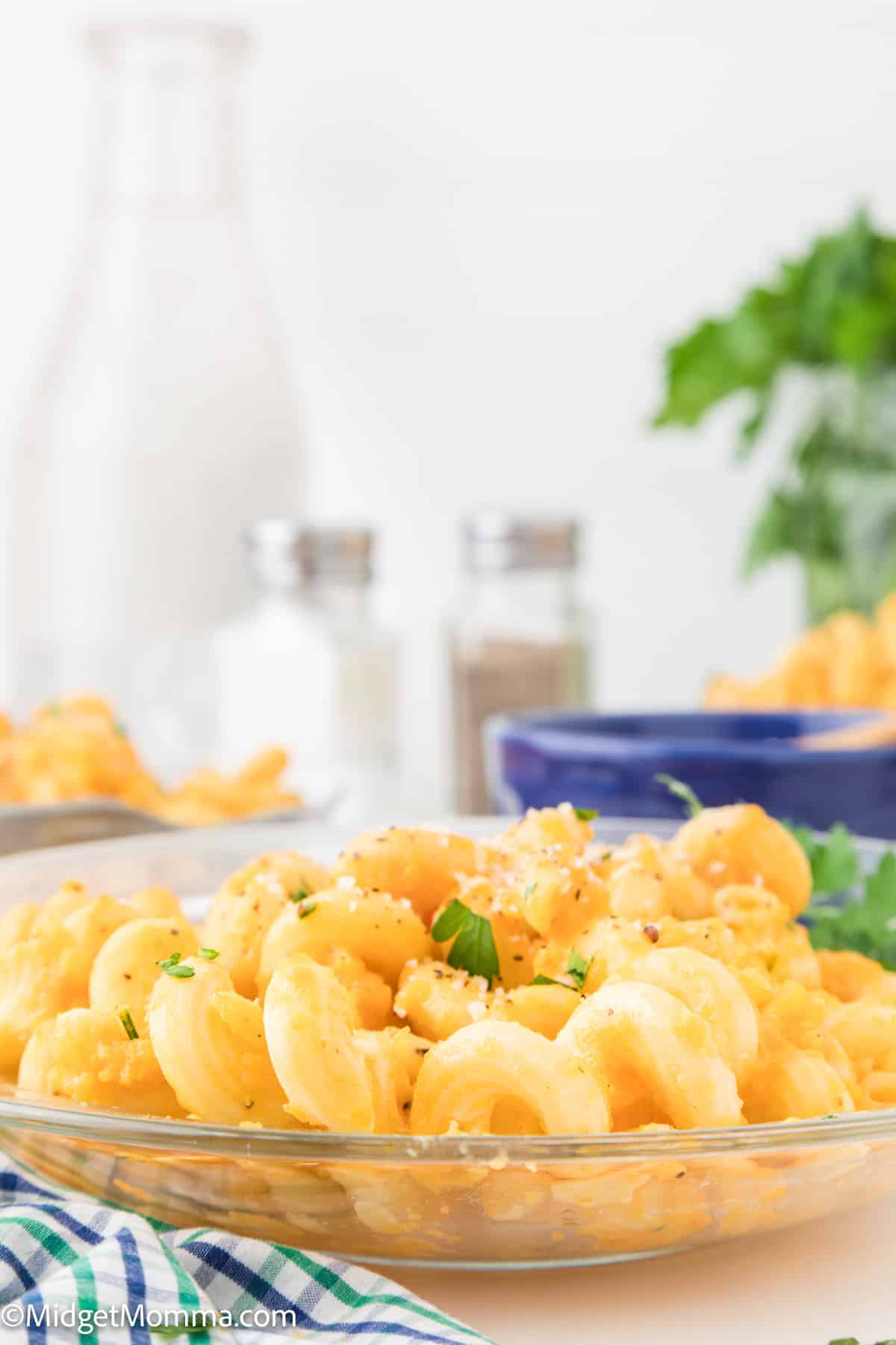 front view of a plate of Butternut Squash Pasta sauce mixed with pasta