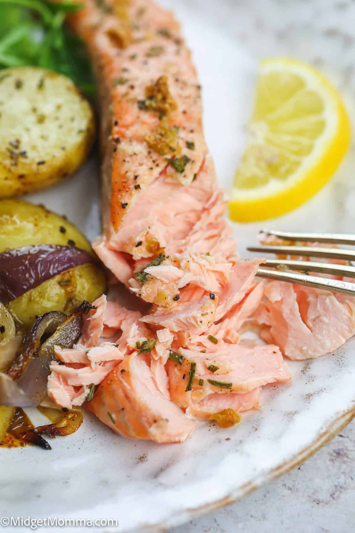 Air Fryer Salmon Recipe