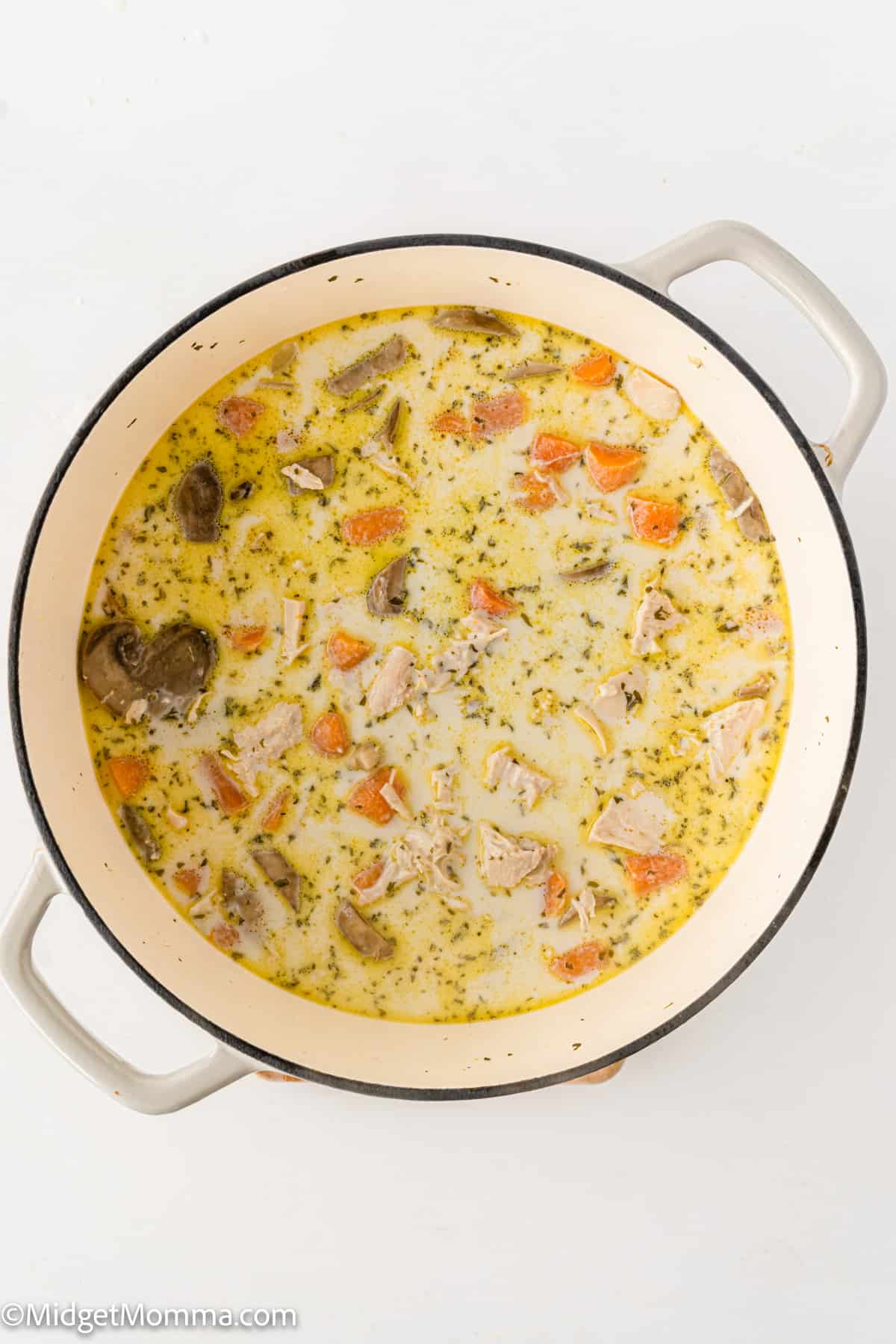 overhead photo of creamy chicken and mushroom soup in a large pot