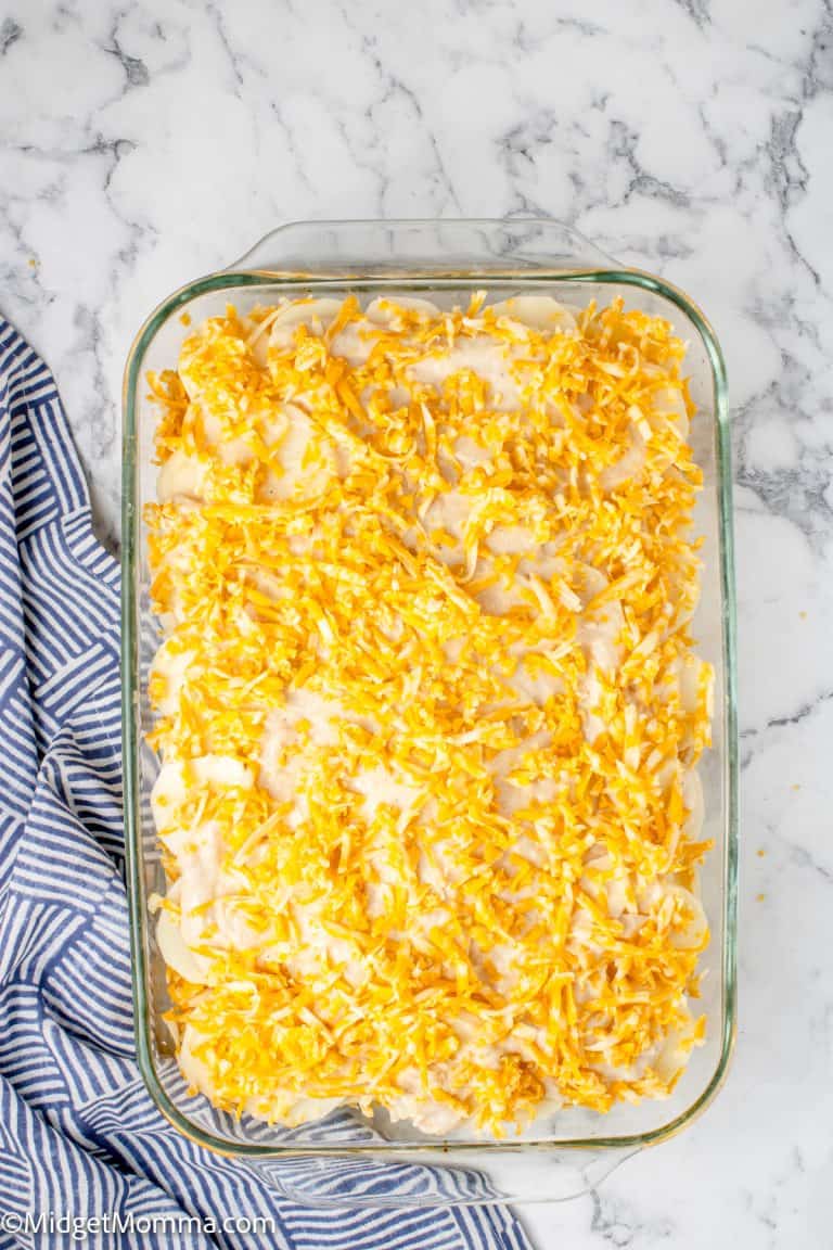 Creamy Scalloped Potatoes with Cheese • MidgetMomma