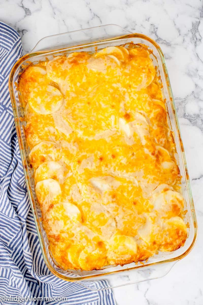 Creamy Scalloped Potatoes with Cheese • MidgetMomma