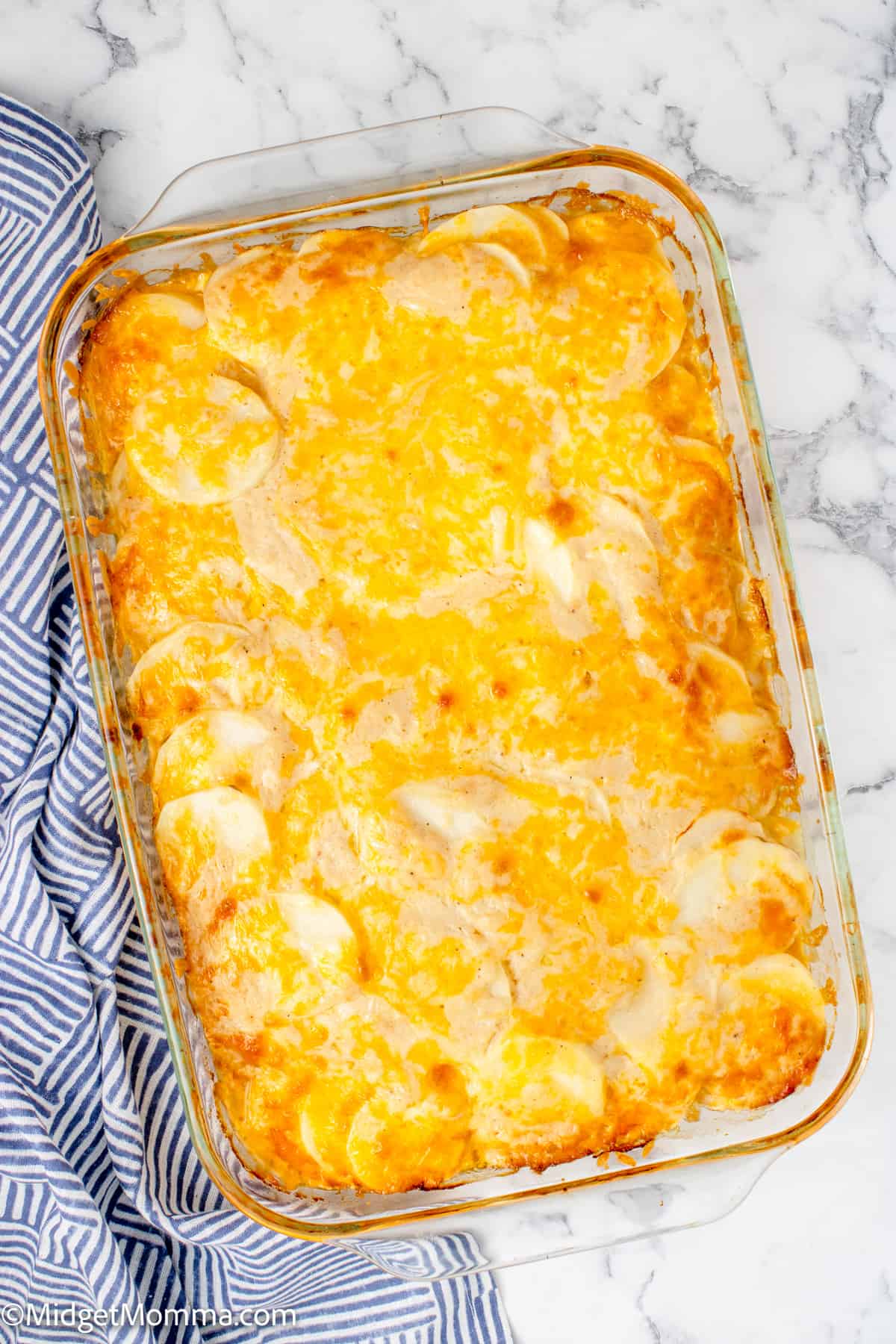 oerhead photo of Creamy Scalloped Potatoes with Cheese in a casserole dish