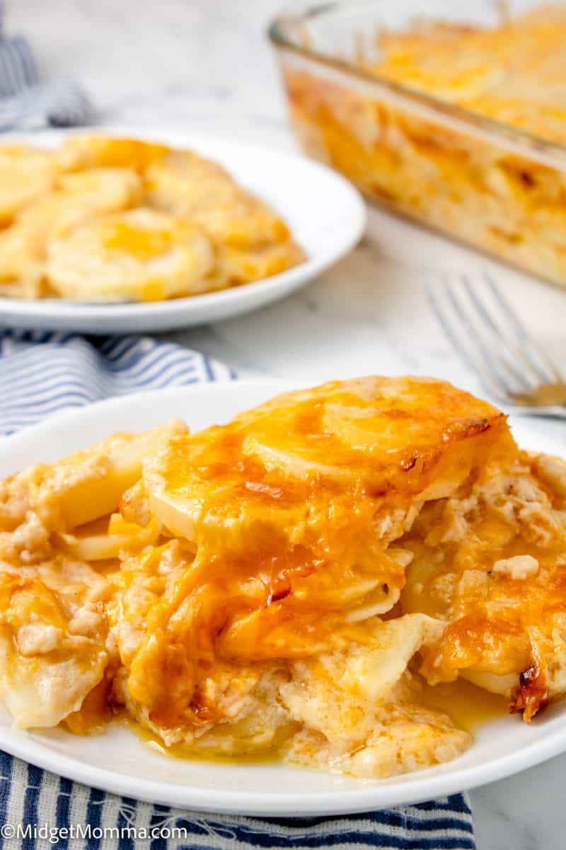 Creamy Scalloped Potatoes with Cheese • MidgetMomma
