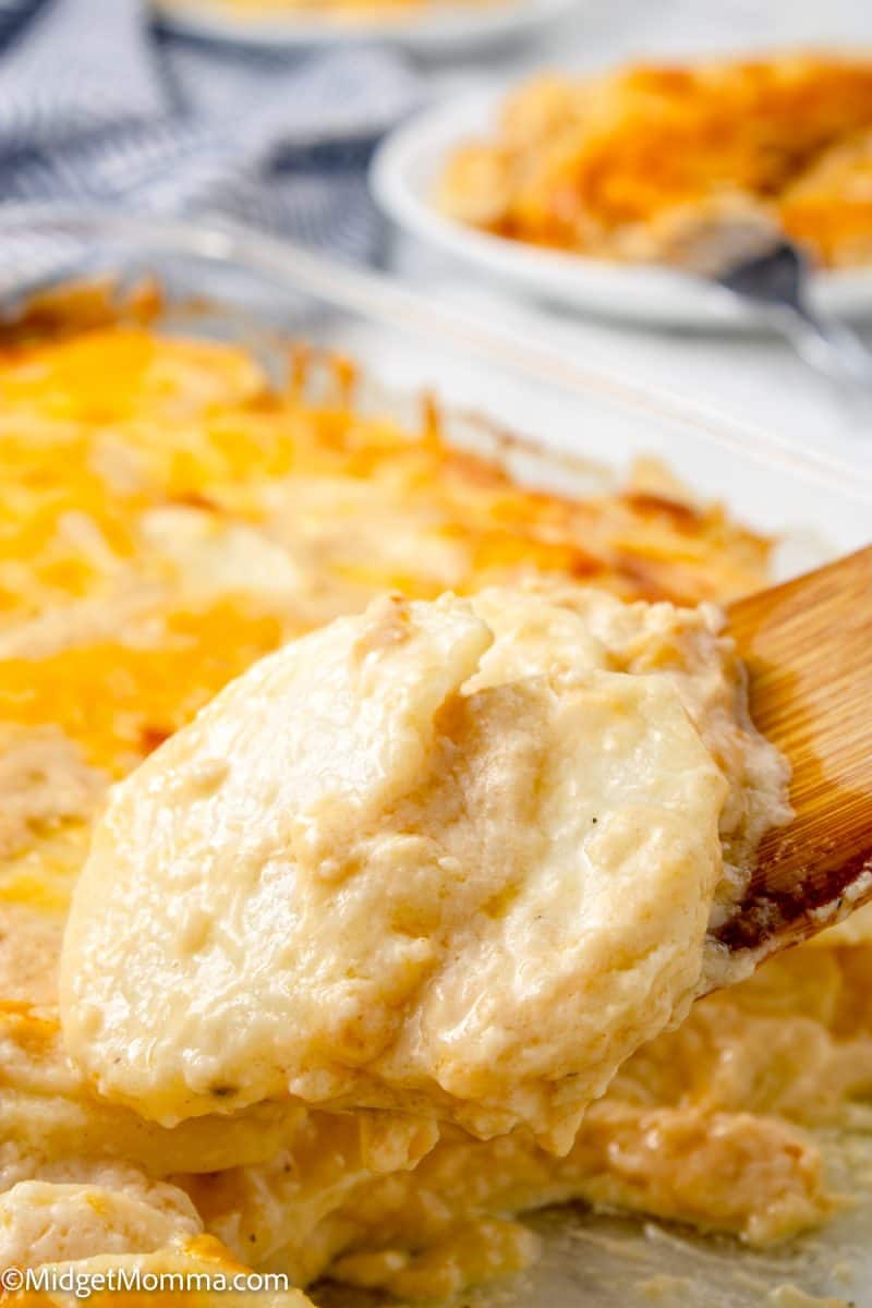 Creamy Scalloped Potatoes with Cheese • MidgetMomma