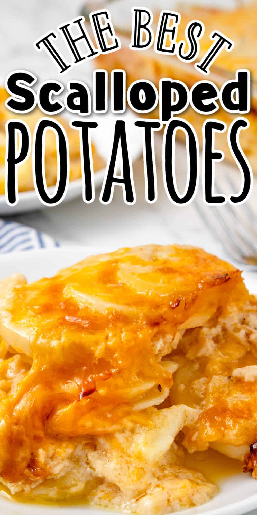 Creamy Scalloped Potatoes with Cheese • MidgetMomma