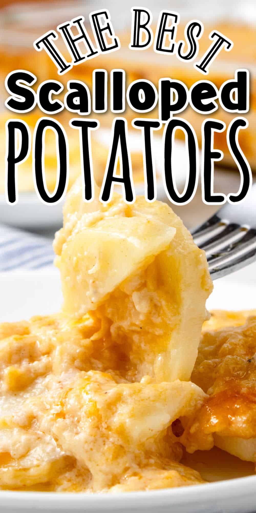 Creamy Scalloped Potatoes with Cheese • MidgetMomma