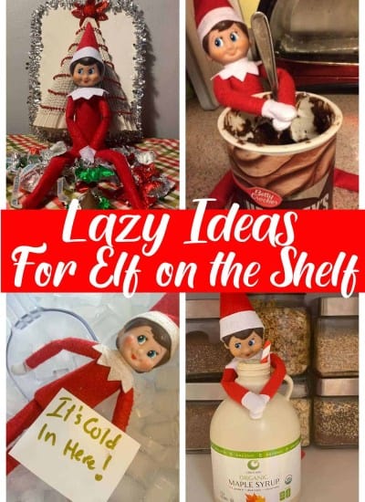 Elf on the Shelf • MidgetMomma