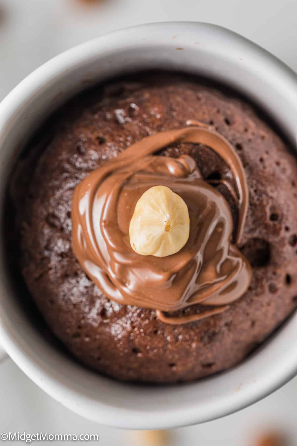 Overhead photo of Nutella Mug Cake made in the microwave