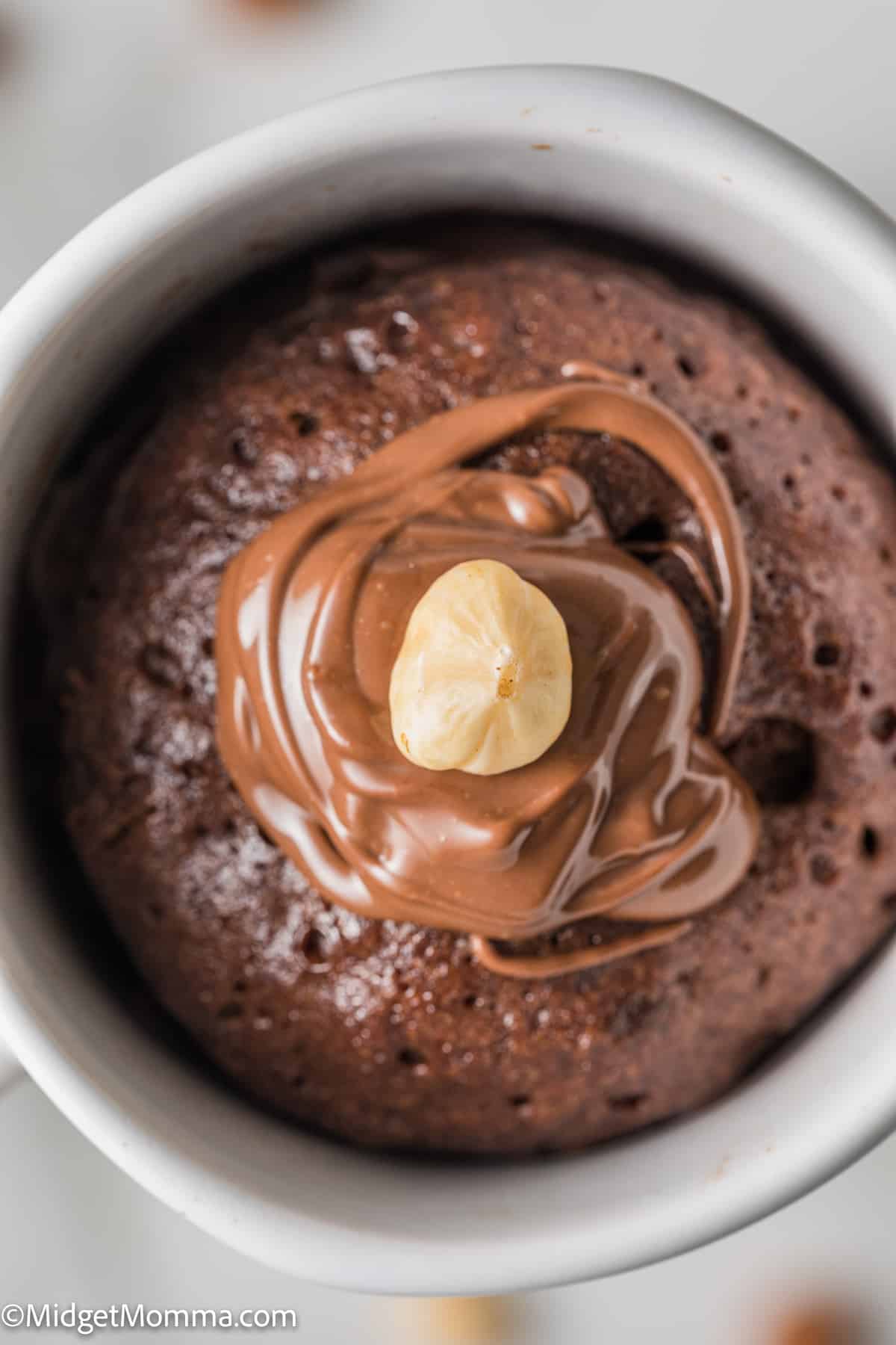 https://www.midgetmomma.com/wp-content/uploads/2023/01/Nutella-Mug-Cake-11.jpg