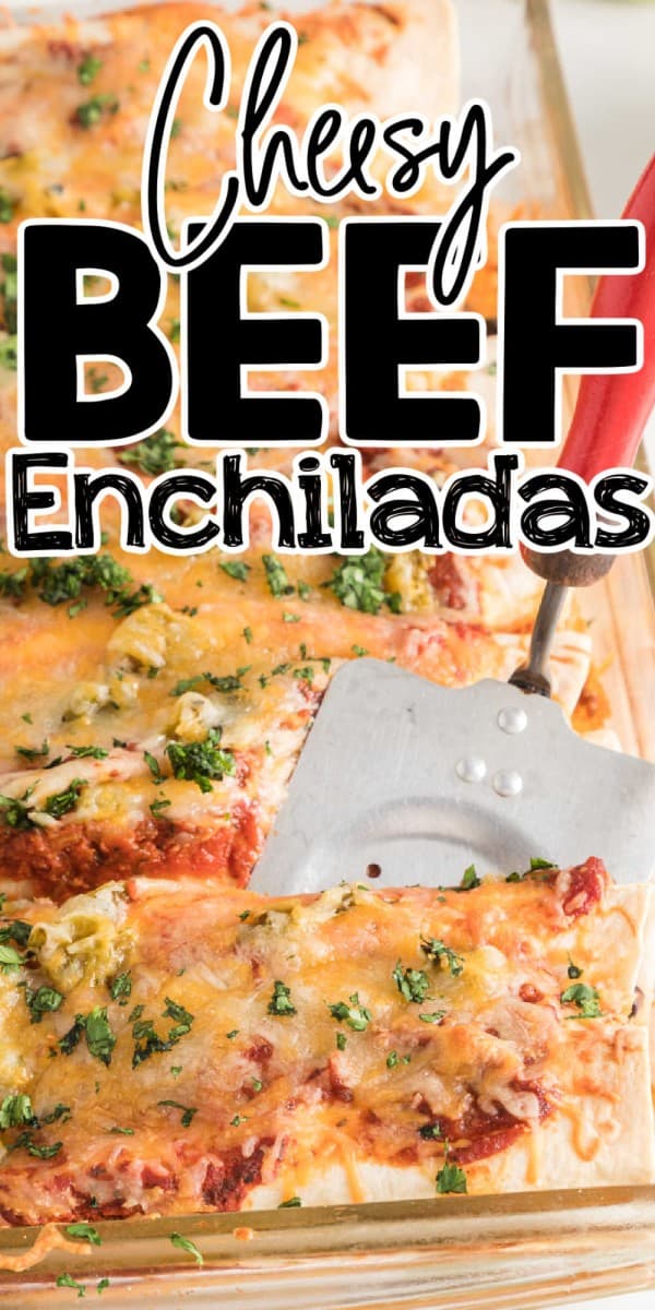 Cheesy Beef Enchiladas Recipe • MidgetMomma