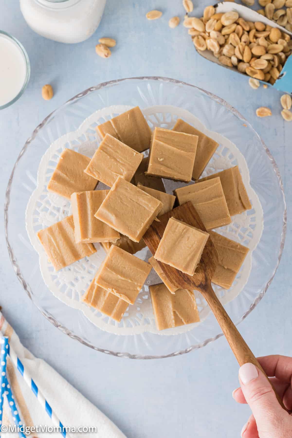 overhead photo of 2 Ingredient Peanut Butter Microwave Fudge on a platter