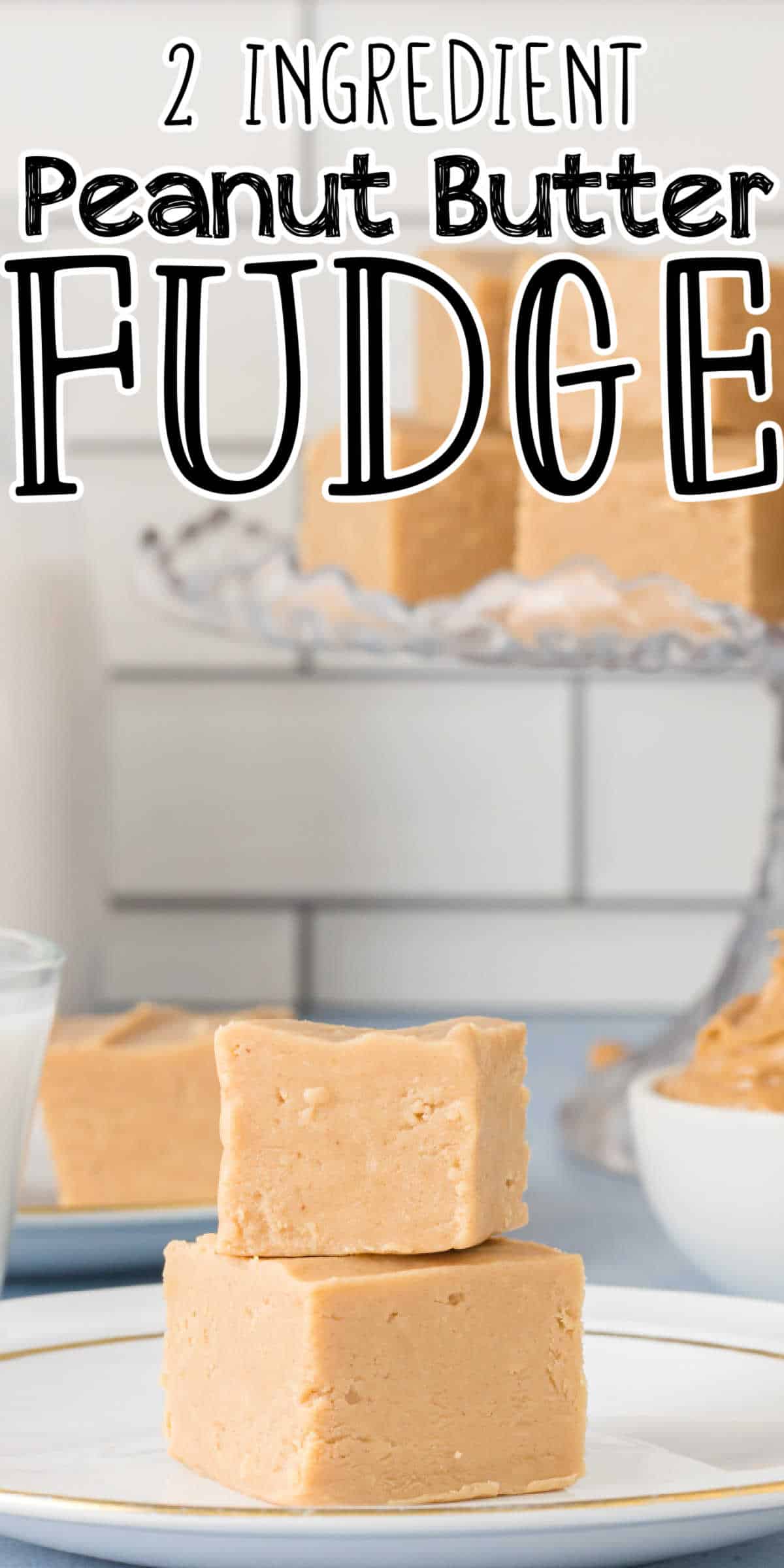 2 Ingredient Peanut Butter Microwave Fudge Recipe