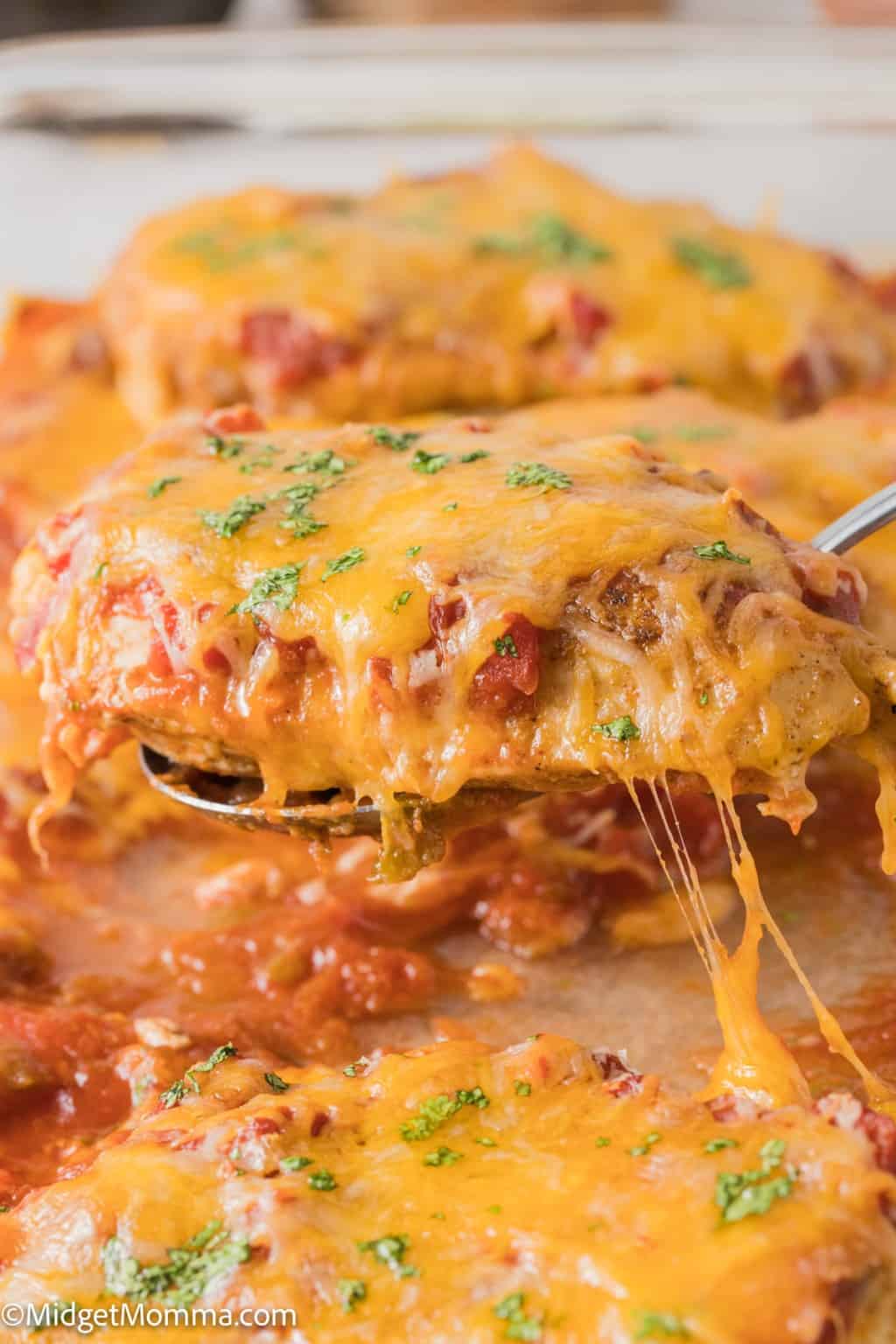 Cheesy Baked Salsa Chicken Recipe MidgetMomma Cheesy Baked Salsa Chicken Recipe MidgetMomma