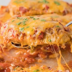 Cheesy Baked Salsa Chicken Recipe