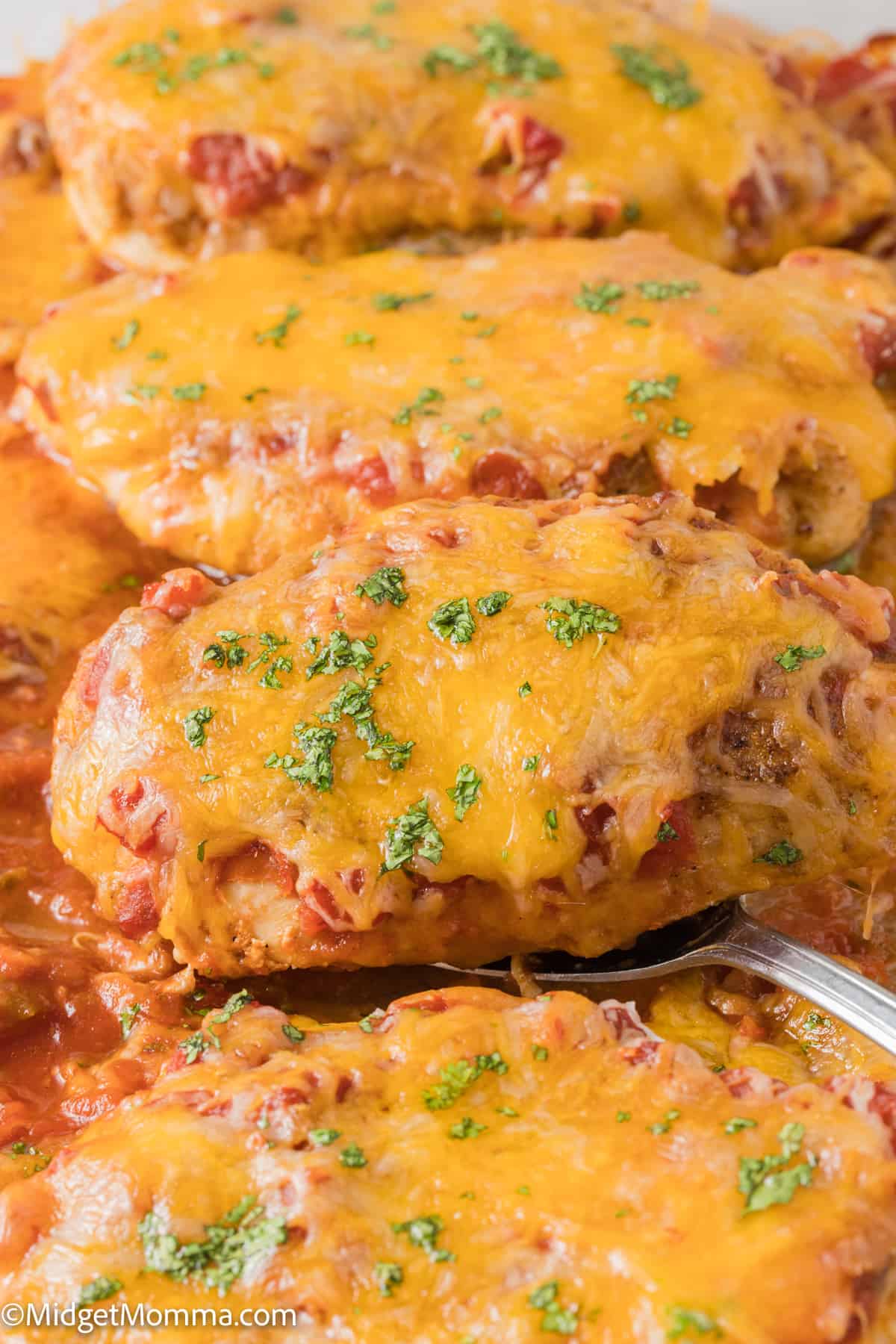 close up photo of Cheesy Baked Salsa Chicken Recipe