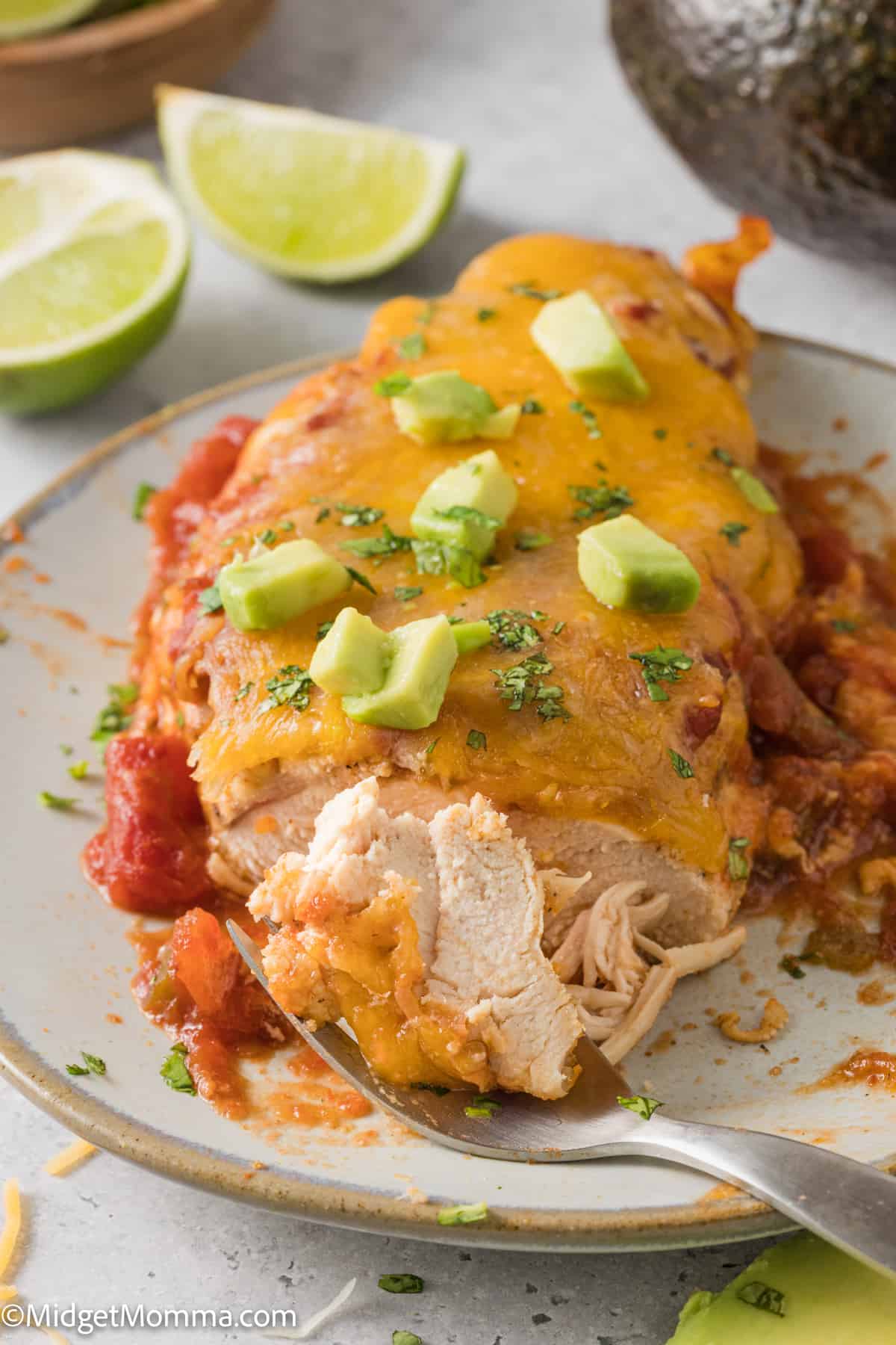 Cheesy Baked Salsa Chicken on a plate 