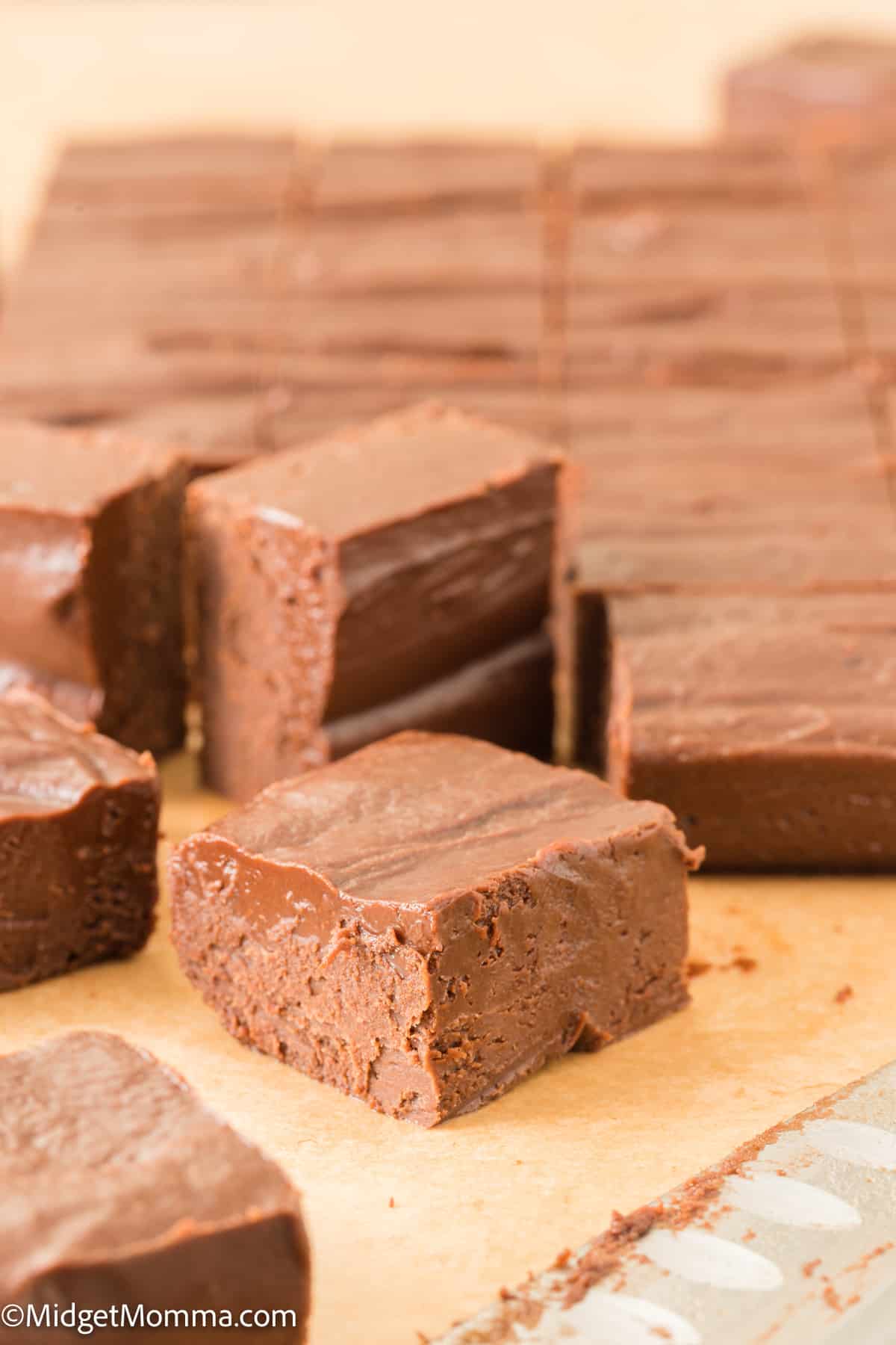 Easy Two Ingredient Chocolate Microwave Fudge 