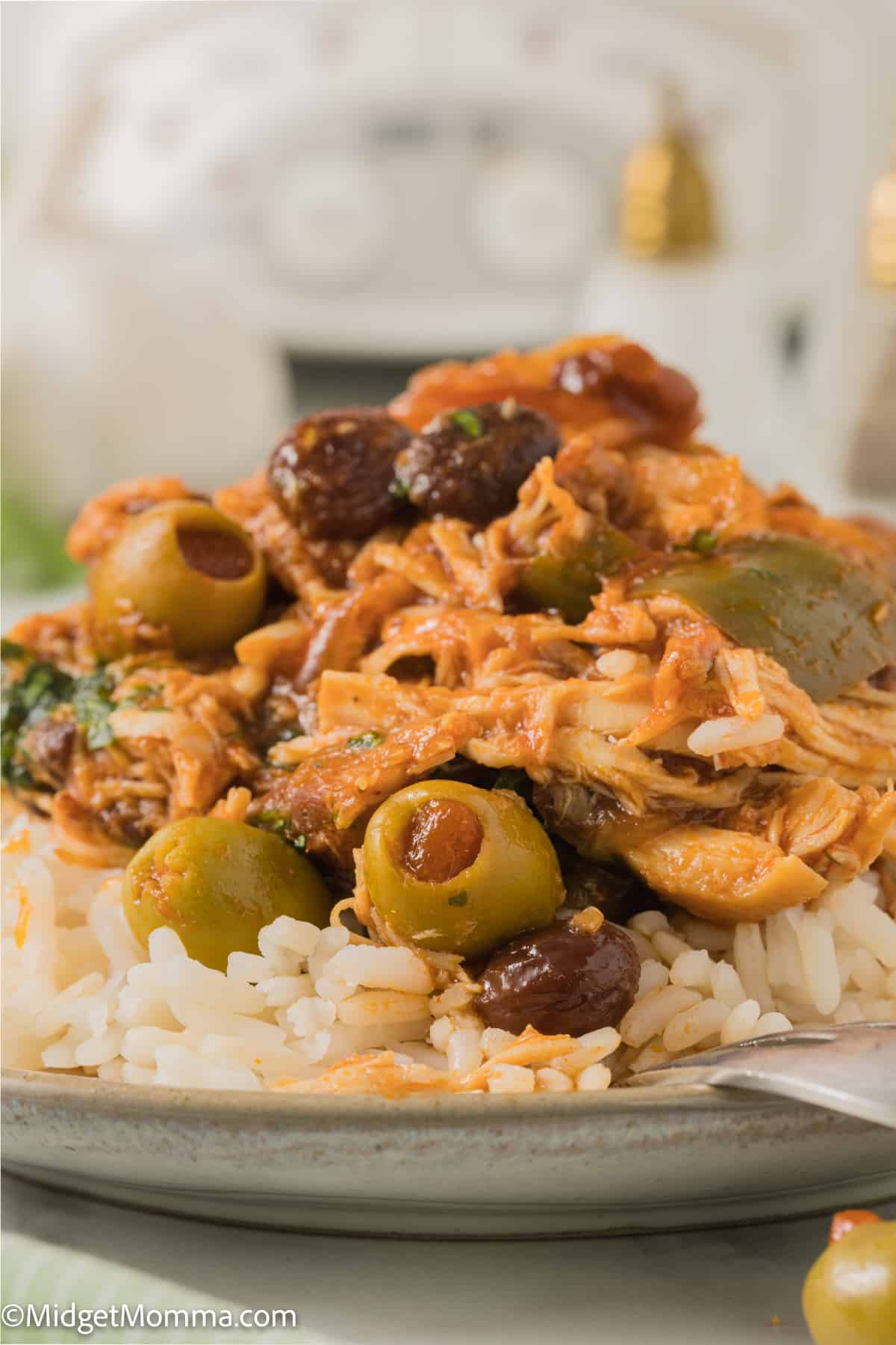 front view photo of a plate with Slow Cooker Cuban Style Chicken Fricassee 