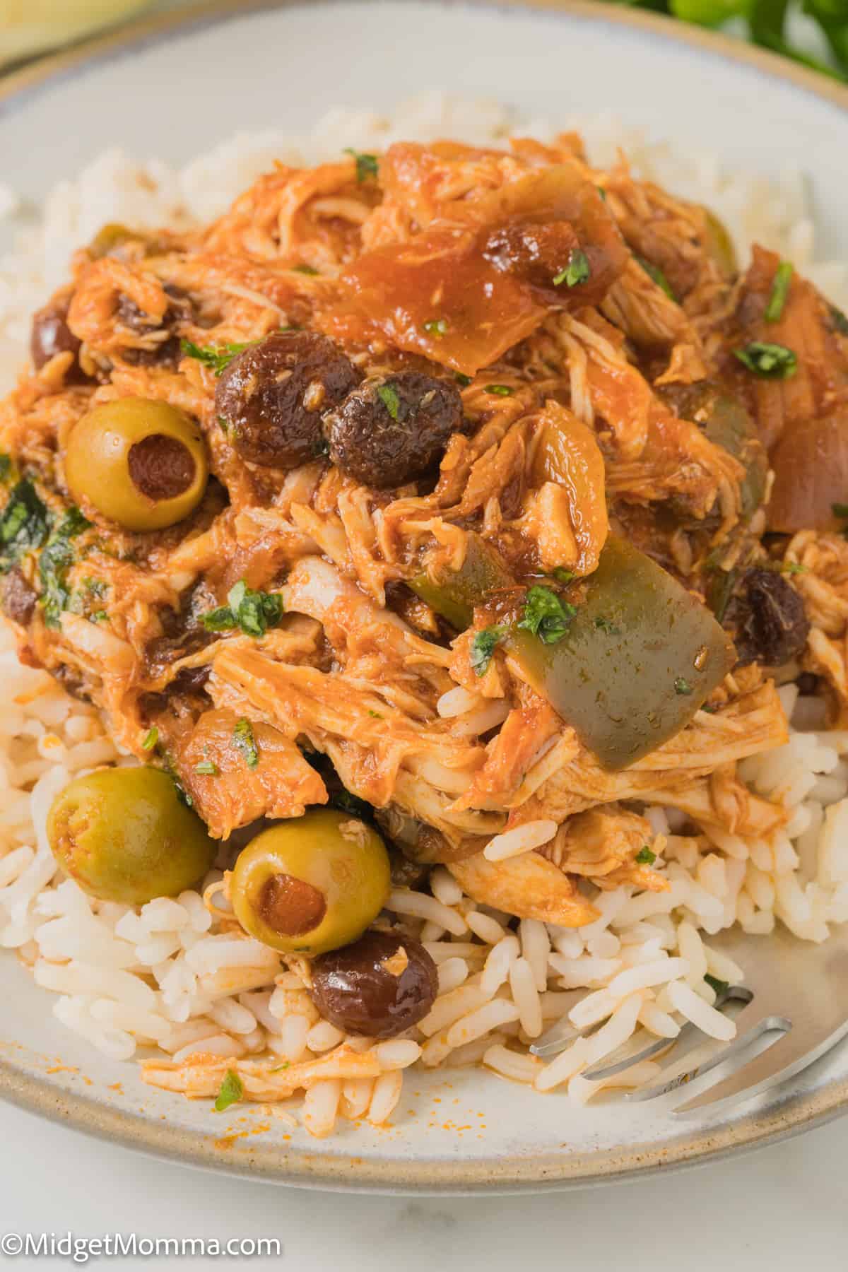 Slow Cooker Cuban Style Chicken Fricassee Recipe being served over rice