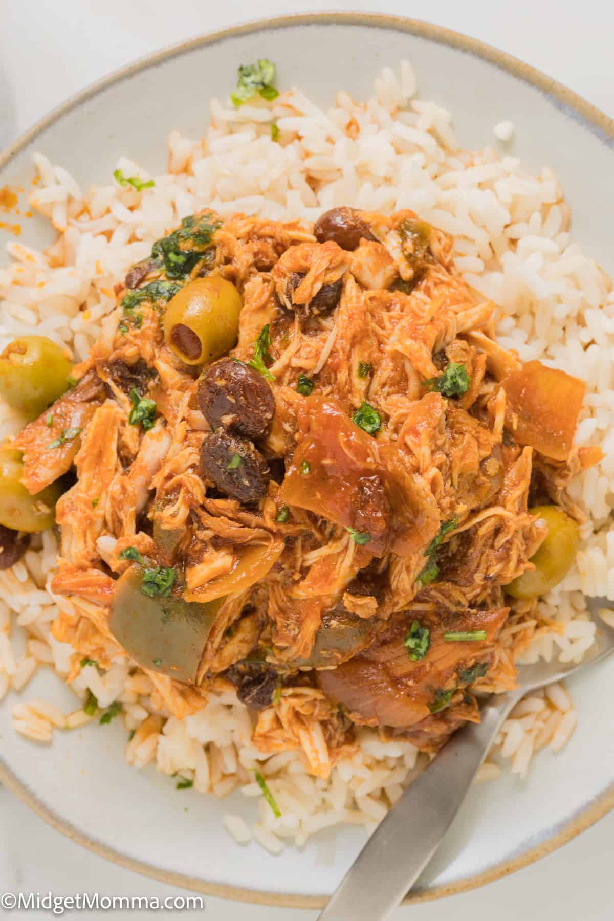 close up photo of Slow Cooker Cuban Style Chicken Fricassee