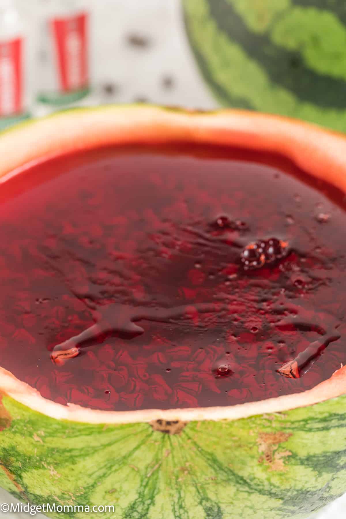 Easy Watermelon Slices Jello Shots Recipe