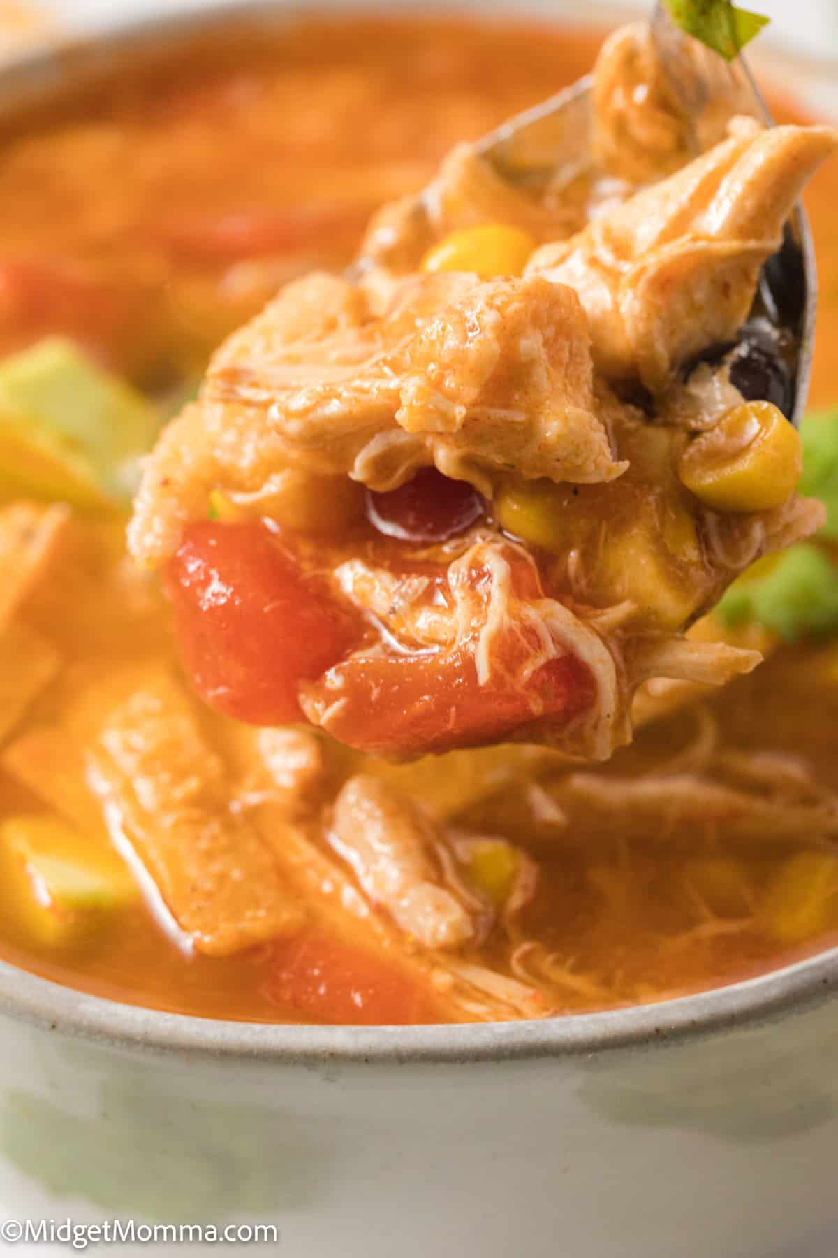 close up photo of a spoonful of Easy 30-Minute Chicken Tortilla Soup 