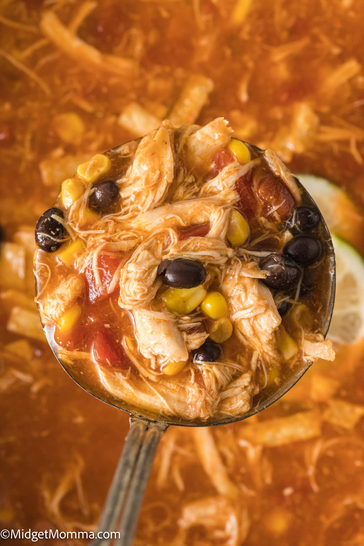 large spoonful of Chicken Tortilla Soup