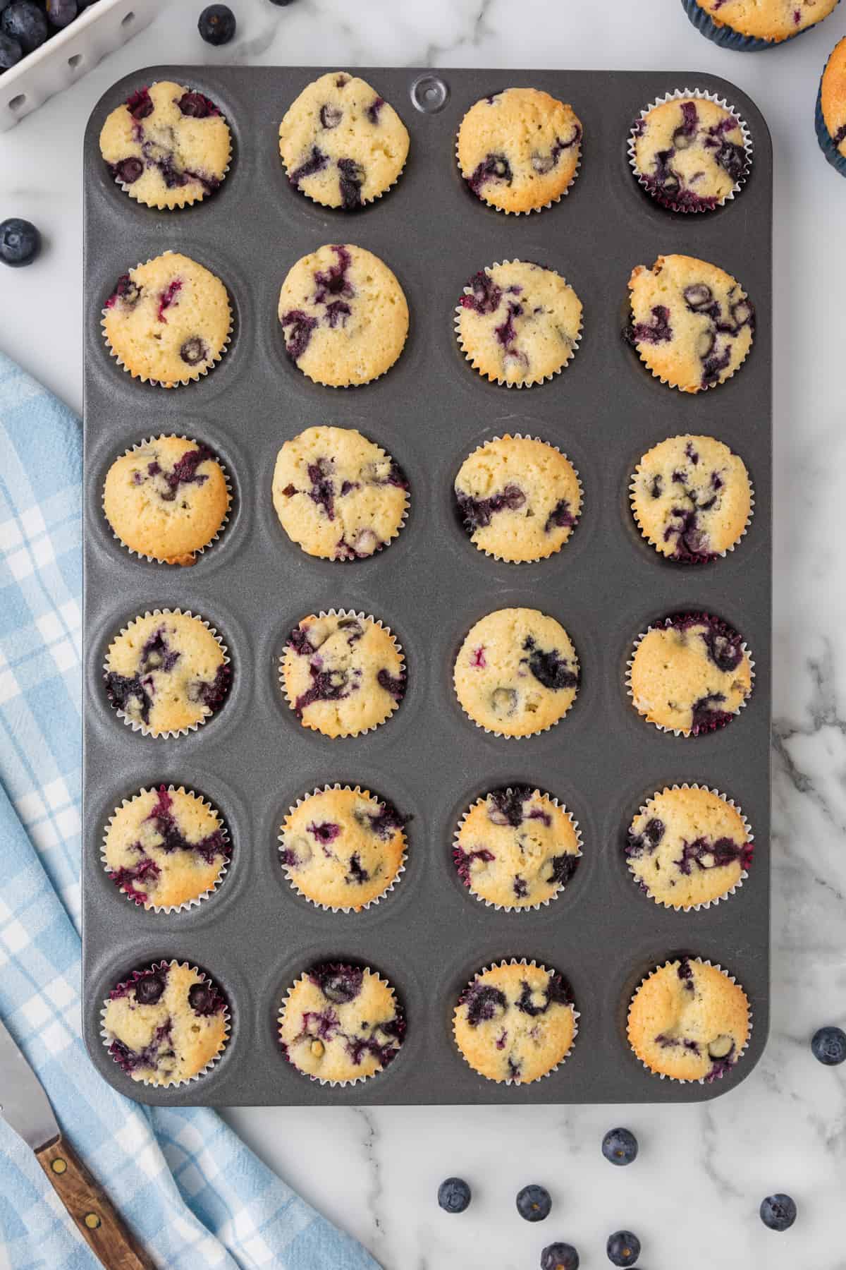 fresh baked miniature Blueberry muffins in a muffin tin.