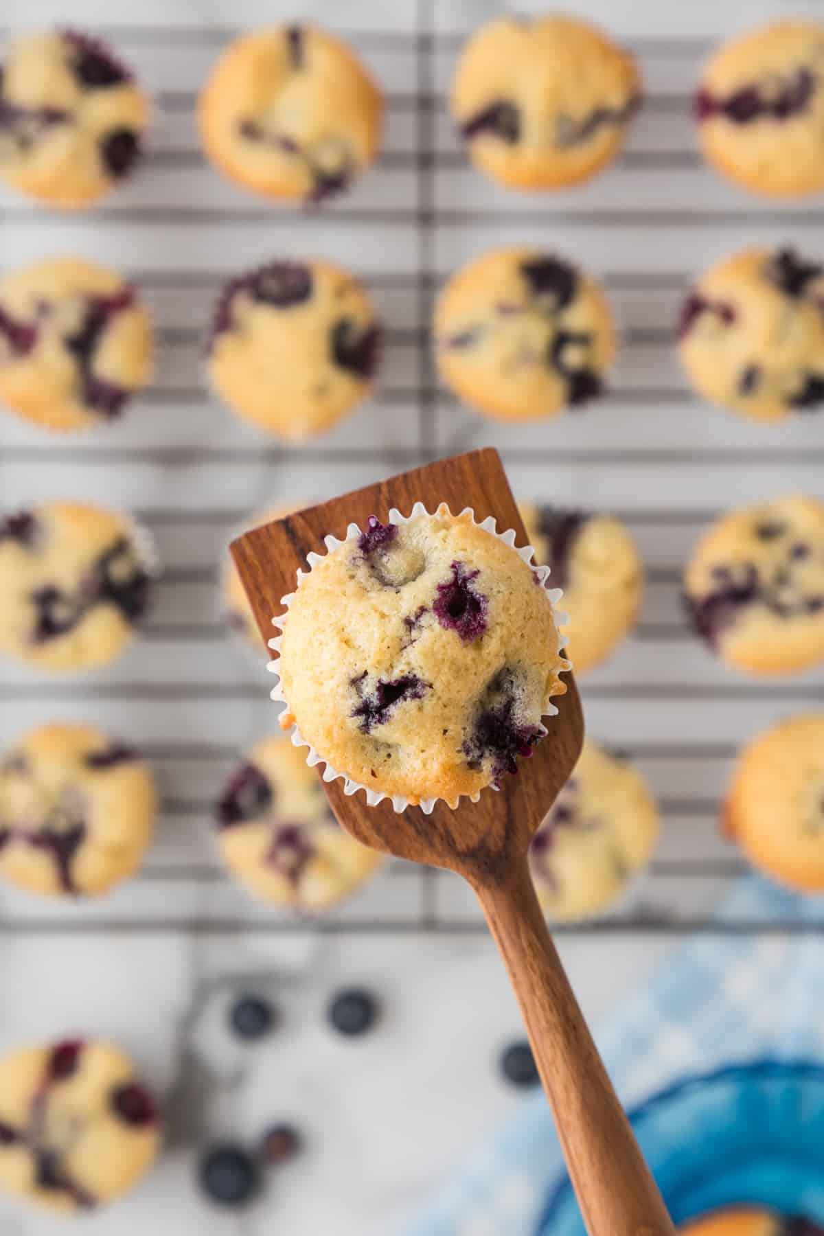 Blueberry muffins on a cooling rack with a wooden spoon.