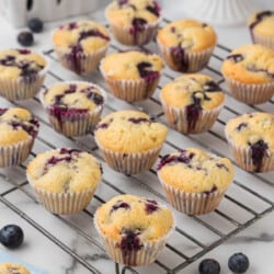 Mini Blueberry Muffins Recipe