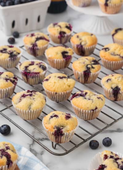 Mini Blueberry Muffins Recipe