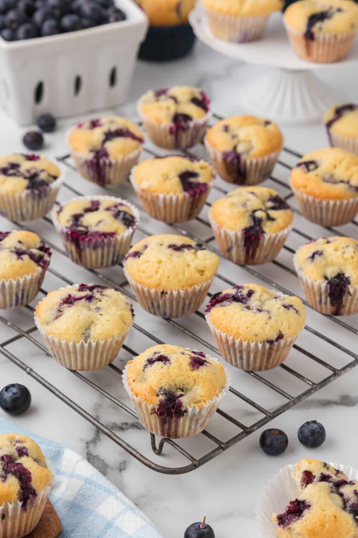 Mini Blueberry Muffins Recipe