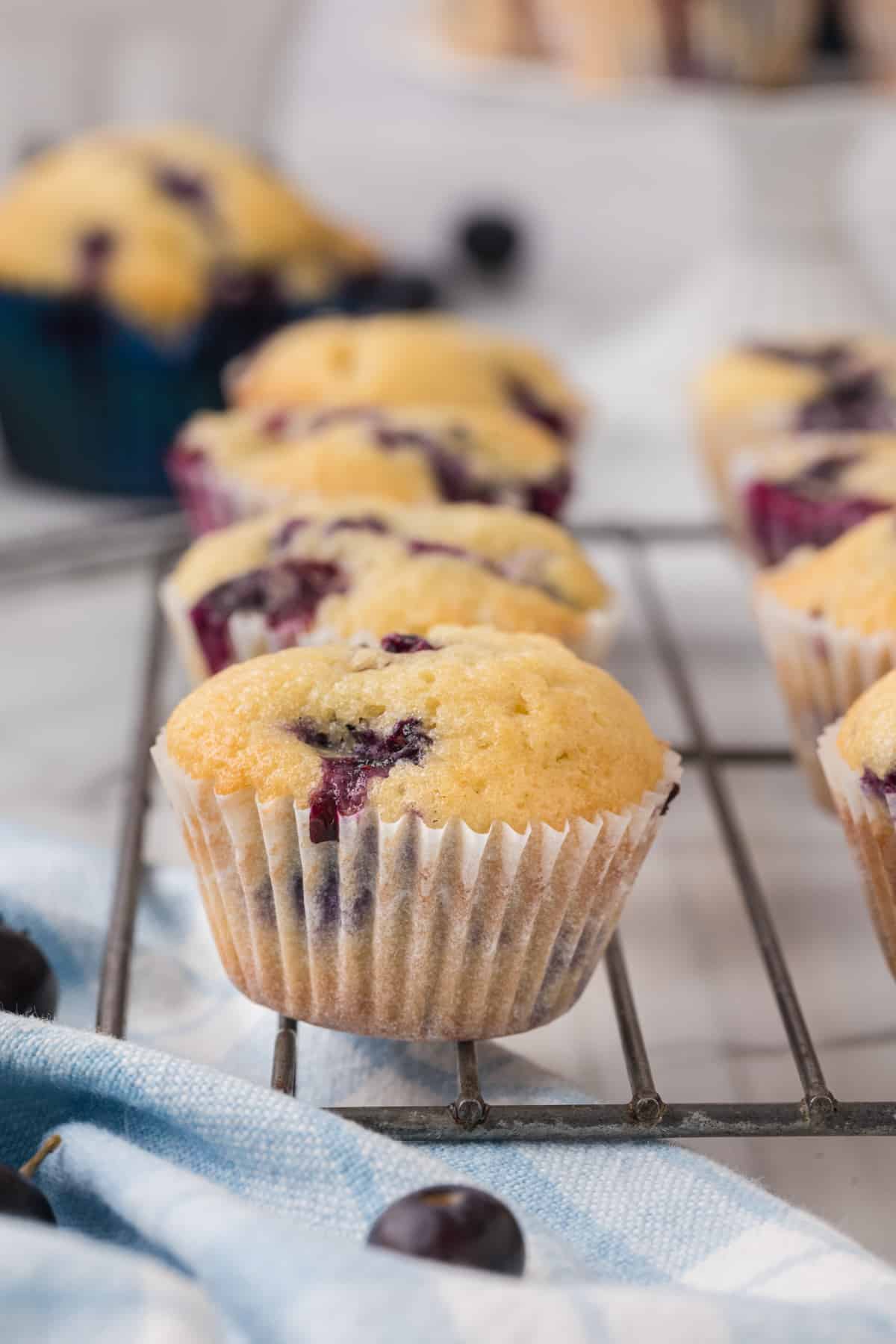 Blueberry muffins on a cooling rack with blueberries.