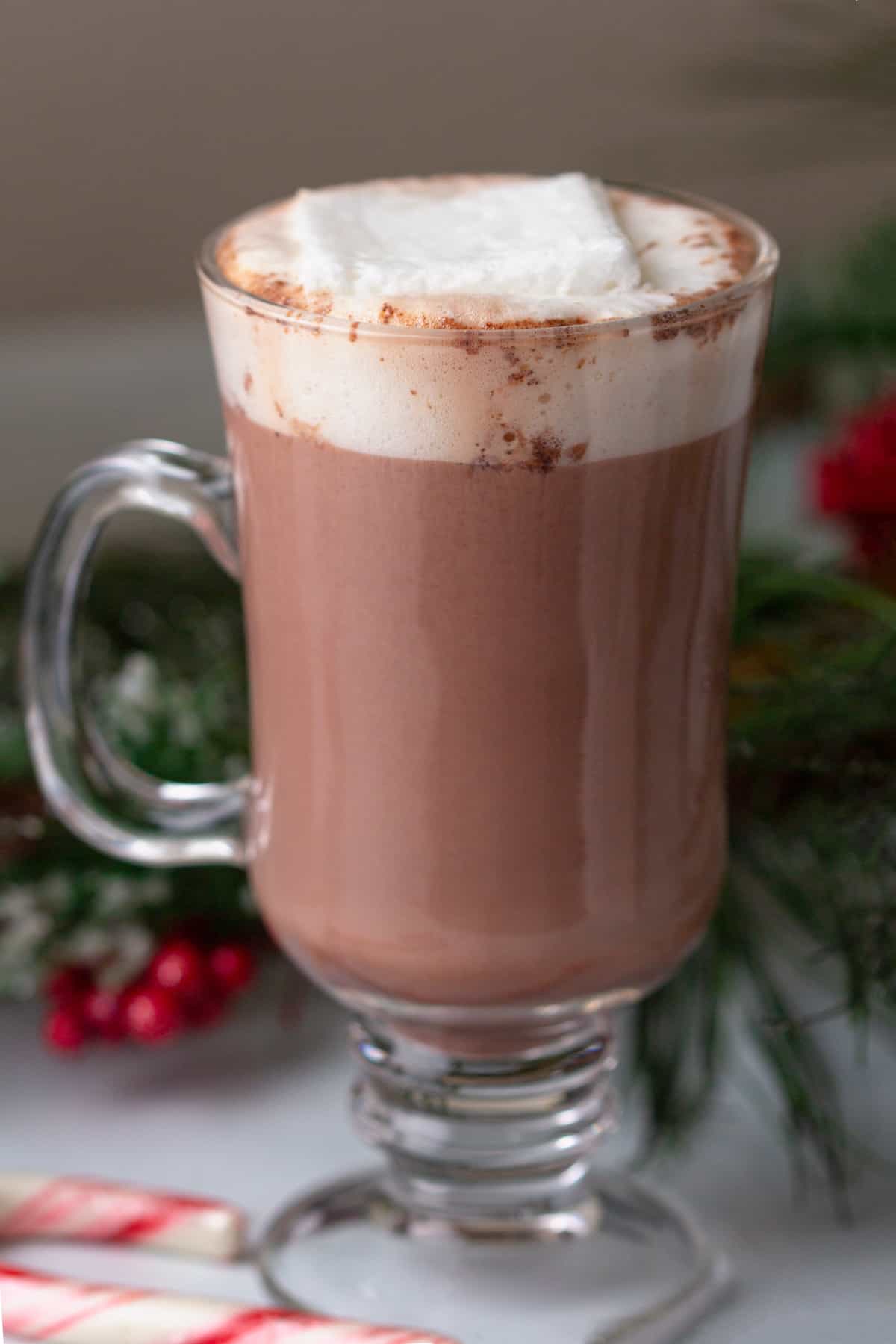 A cup of hot chocolate with whipped cream and candy canes.
