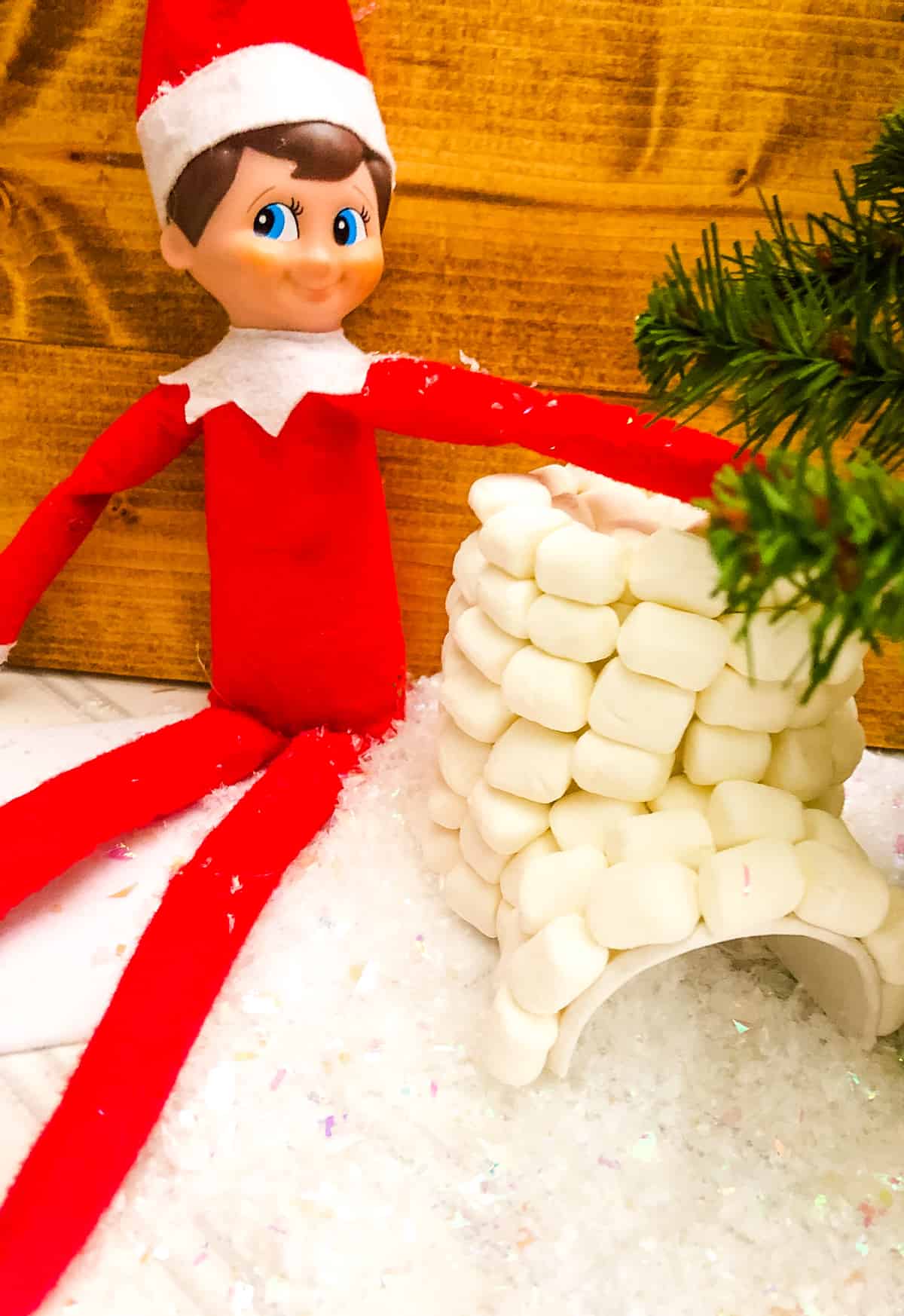 Marshmallow Igloo with an elf